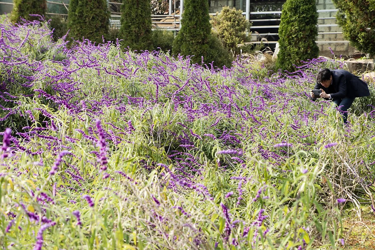 9._%ED%8C%9C%EC%B9%B4%EB%B0%80%EB%A0%88_%281%29.jpg?type=w1200