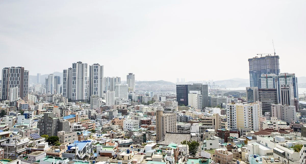 %EC%B4%88%EB%9F%89_%EC%9D%B4%EB%B0%94%EA%B5%AC%EA%B8%B8_%EC%A0%95%EC%9D%80%EC%A3%BC_%281%29.JPG?type=w1200