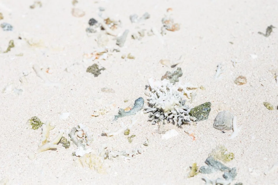 %EC%82%AC%EC%9D%B4%ED%8C%90_Rota_8.jpg?type=w1200