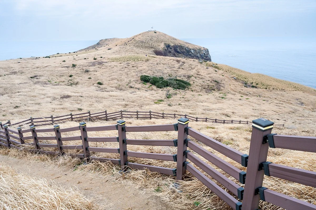 %EC%B0%A8%EA%B7%80%EB%8F%84_%ED%83%90%EB%B0%A9%EA%B8%B8_%282%29.jpg?type=w1200