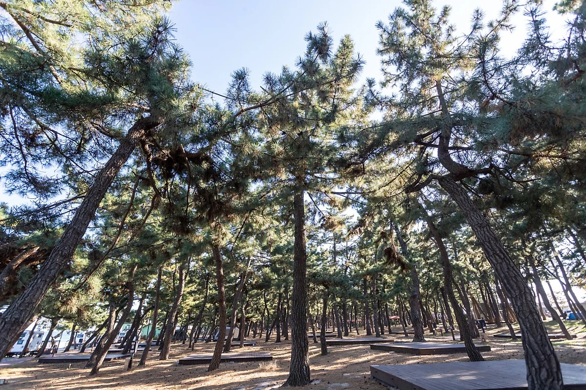 %EC%9A%B0%EA%B1%B0%EC%A7%84_%EC%86%A1%EB%A6%BC_%283%29.jpg?type=w1200