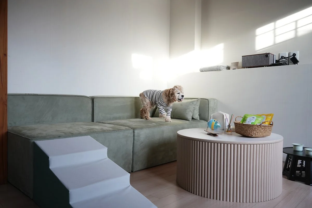 _%EB%8C%95%EB%8C%95%EB%A3%B8.jpg?type=w1200