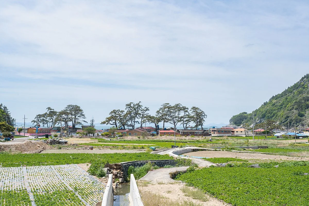 %EC%A7%81%ED%8F%AC%EB%A7%88%EC%9D%84_%282%29.jpg?type=w1200