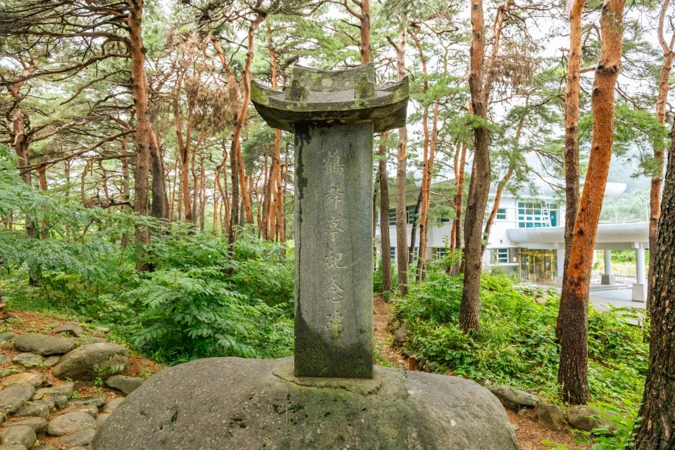 IMG_7142.jpg?type=w966