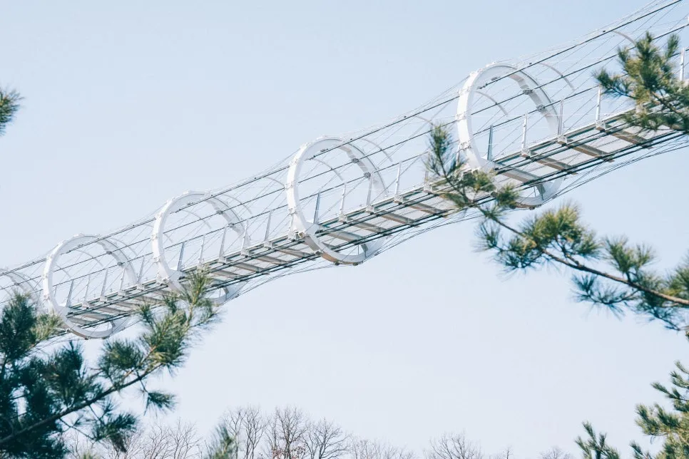 %EC%B2%A0%EC%9B%90_(6_-_11).jpg?type=w966