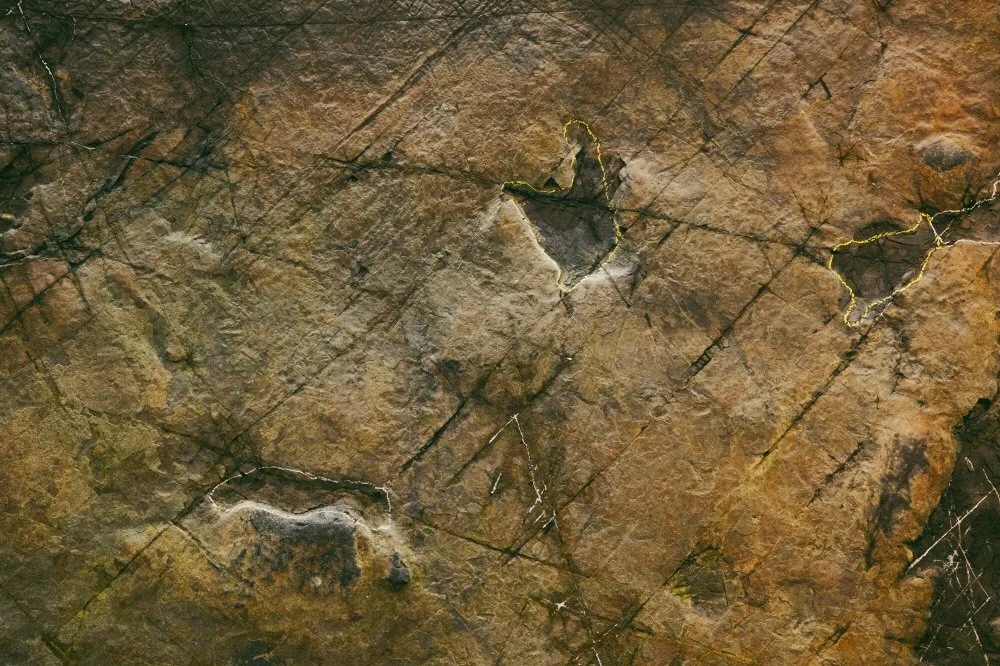 %EA%B3%B5%EB%A3%A1%EB%B0%95%EB%AC%BC%EA%B4%80_%EA%B5%90%EC%B2%B4.jpg?type=w1200