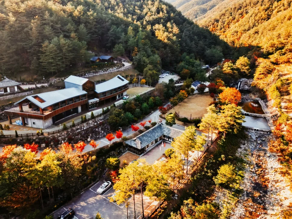 %EC%82%BC%EC%B2%99%ED%99%9C%EA%B8%B0%EC%B9%98%EC%9C%A0%EC%9D%98%EC%88%B2_(13).jpg?type=w966