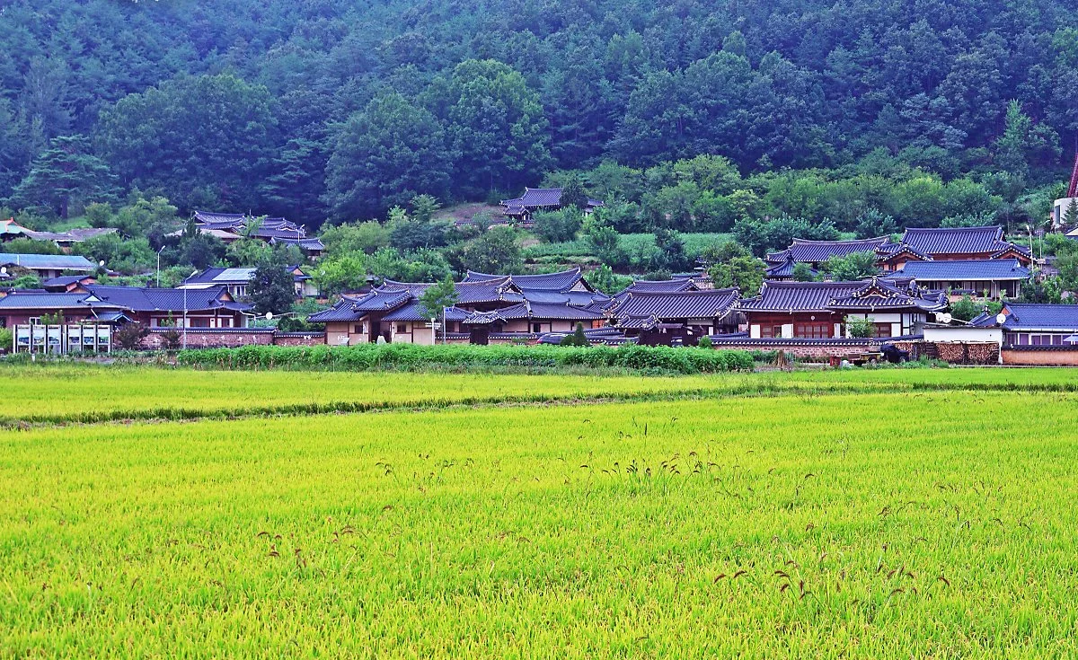 %EC%A3%BC%EC%8B%A4%EB%A7%88%EC%9D%84..JPG?type=w1200