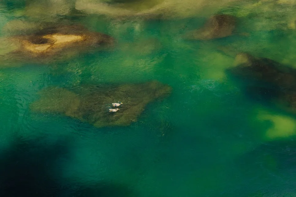 %EC%B2%A0%EC%9B%90-1-7.jpg?type=w966