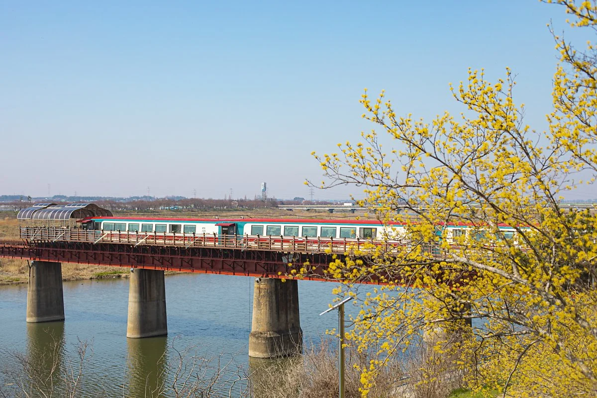 %EB%B9%84%EB%B9%84%EC%A0%95%EC%98%88%EC%88%A0%EC%97%B4%EC%B0%A8%281%29.jpg?type=w1200