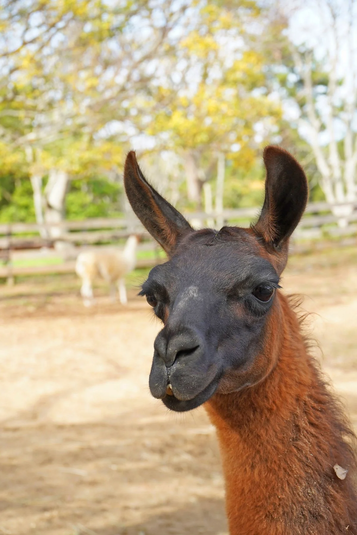 DSC04391-1.jpg?type=w1200