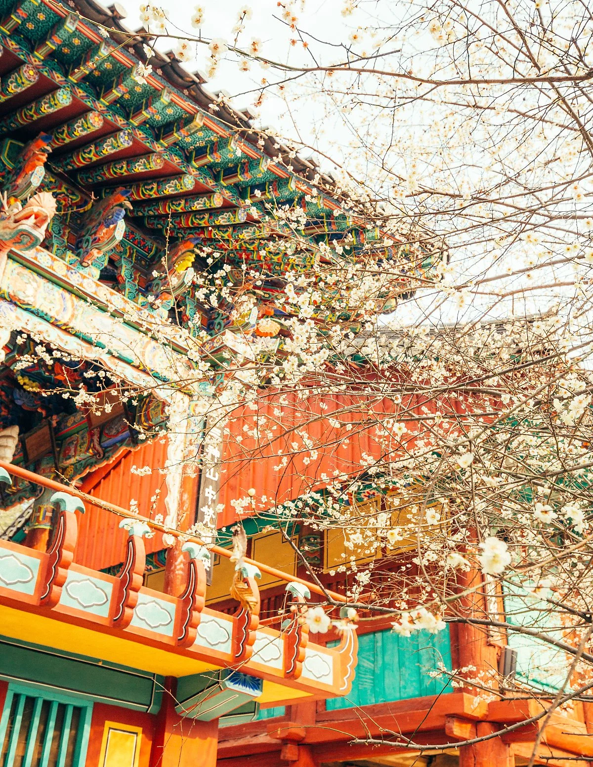 %ED%95%98%EB%8F%99_%2827%29.jpg?type=w1200