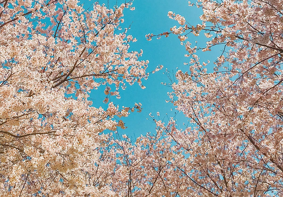 image.png?type=w1200