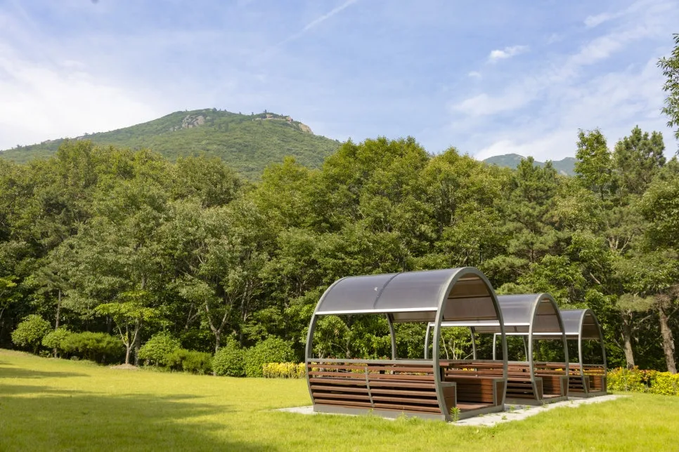 IMG_7023.jpg?type=w966