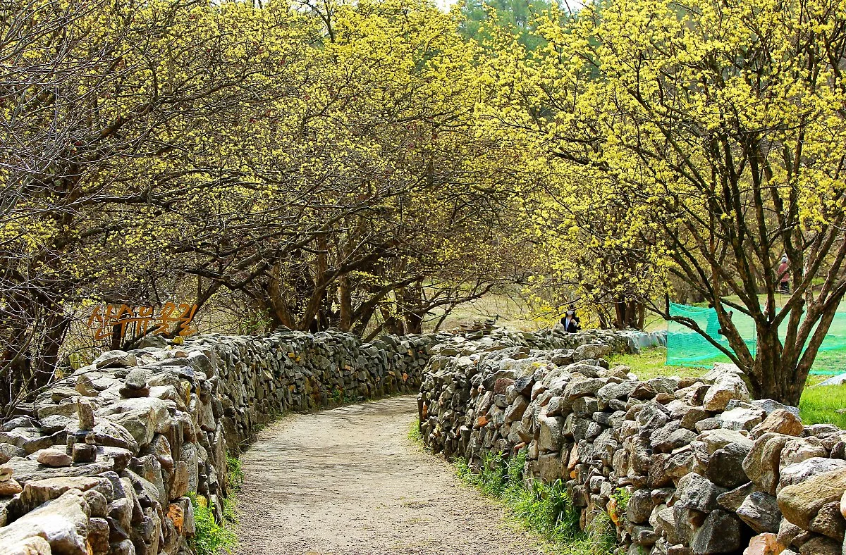 01%EC%9D%B4%EC%B2%9C%EC%82%B0%EC%88%98%EC%9C%A0%EB%A7%88%EC%9D%84_%284%29.JPG?type=w1200