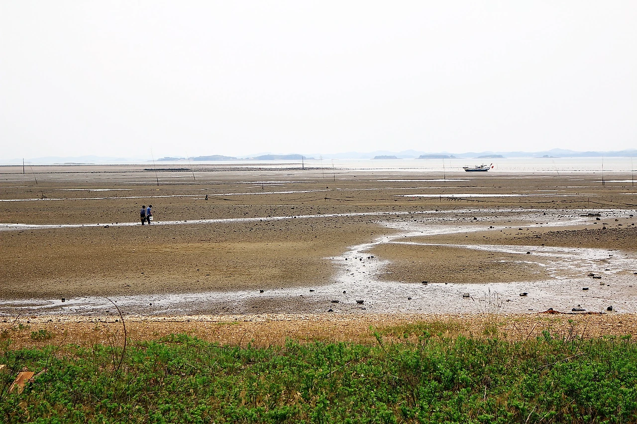 속동 전망대에서 보이는 갯벌.JPG