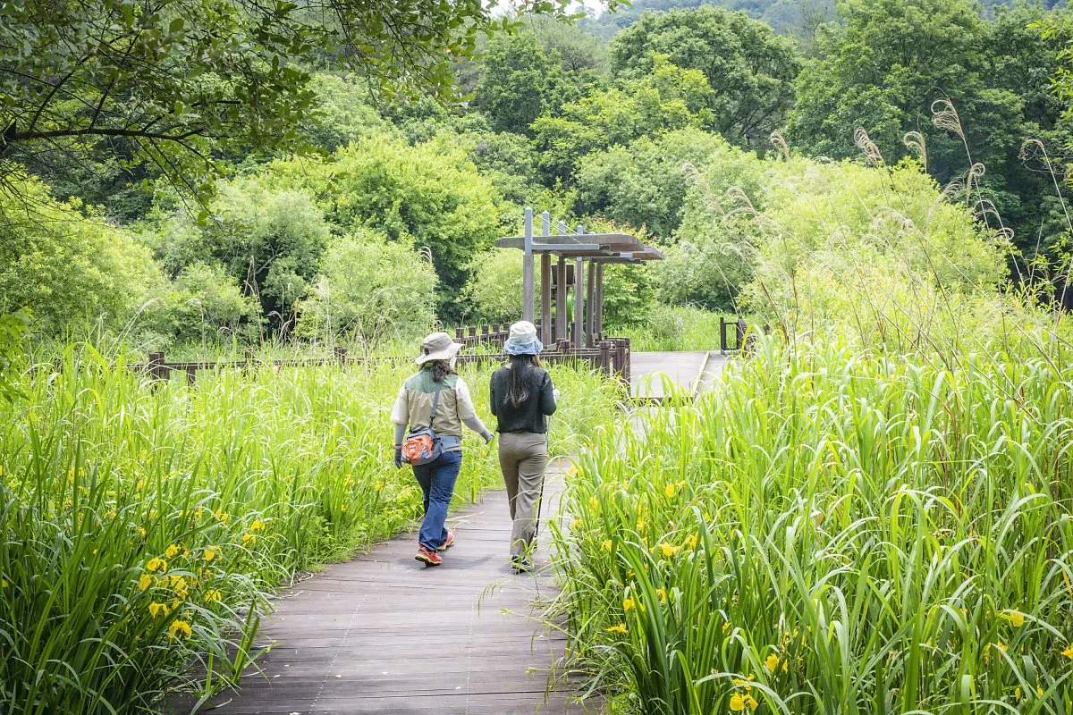 %EC%9A%B4%EA%B3%A1%EB%9E%8C%EC%82%AC%EB%A5%B4%EC%8A%B5%EC%A7%80_%284%29.jpg?type=w1200