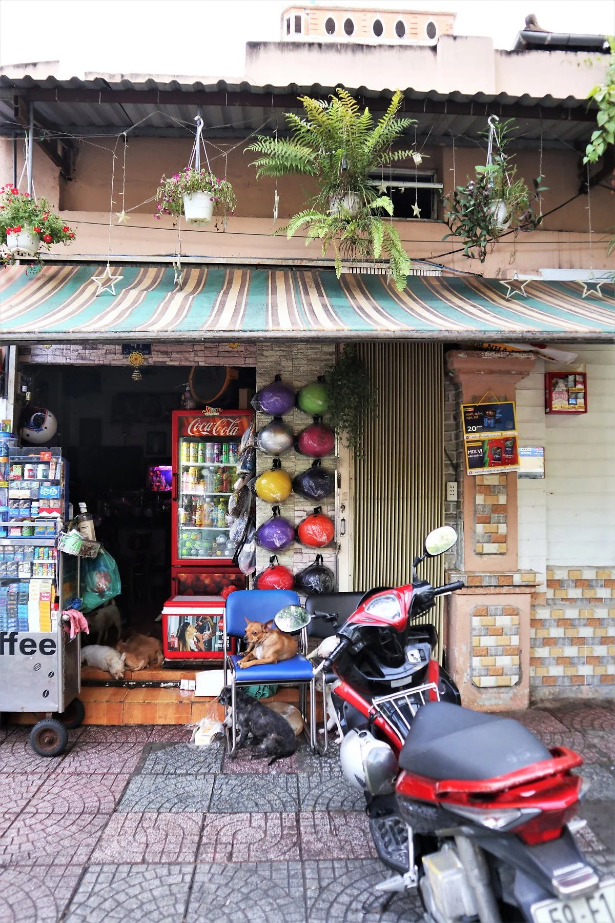 %ED%98%B8%EC%B9%98%EB%AF%BC_%EA%B1%B0%EB%A6%AC_%ED%92%8D%EA%B2%BD_%286%29.JPG?type=w1200