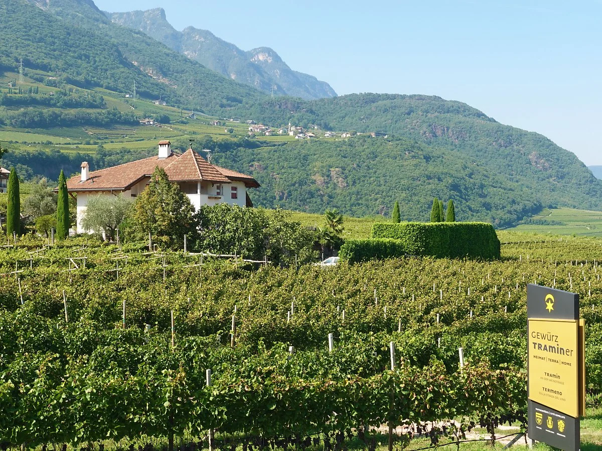 DSC09797-1.jpg?type=w1200