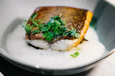 %ED%81%AC%EA%B8%B0%EB%B3%80%ED%99%9820251126-DSC00029.jpg?type=w466