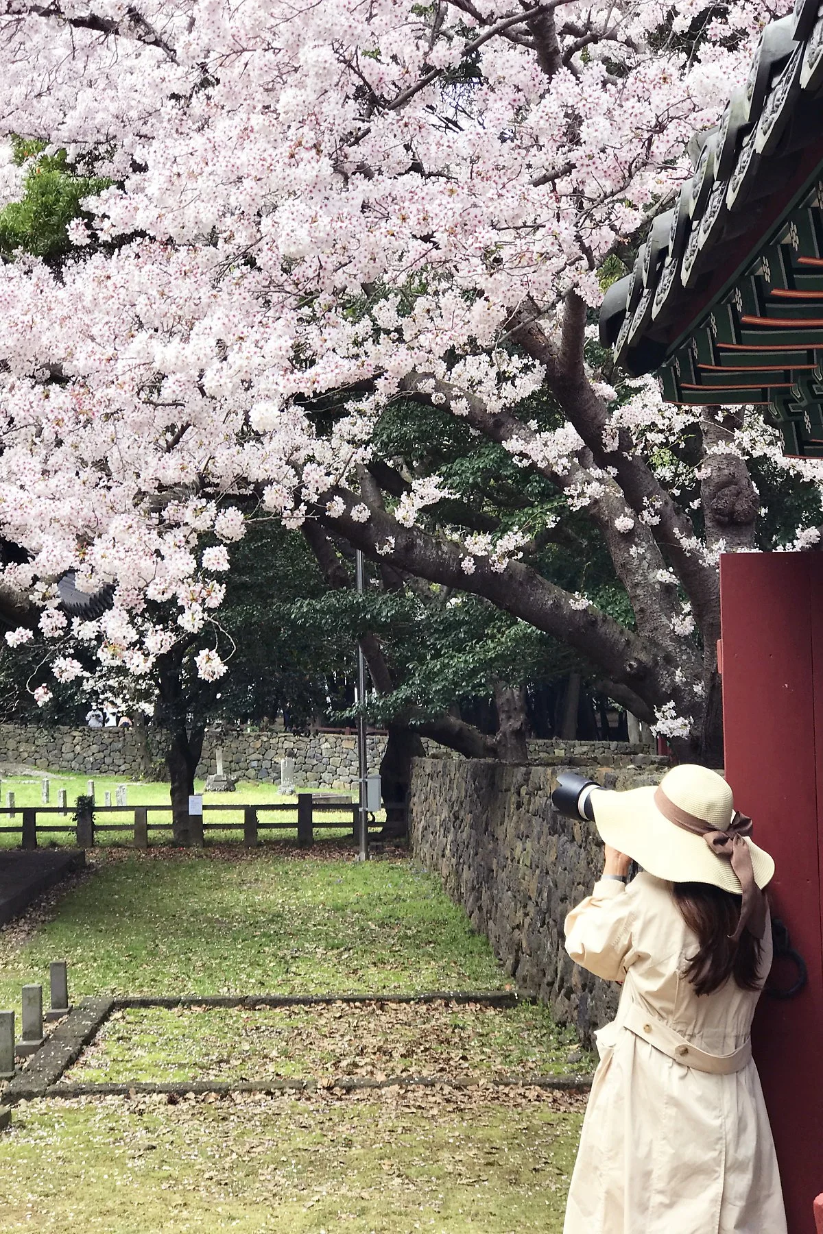 %EC%82%BC%EC%84%B1%ED%98%88_%282%29.JPG?type=w1200