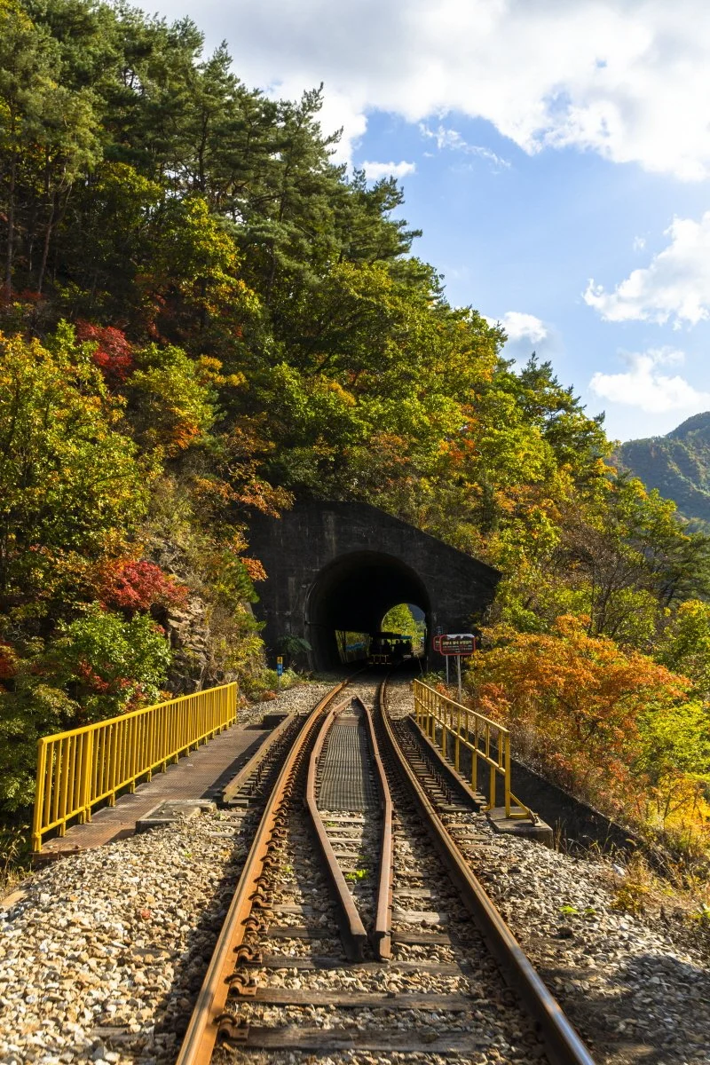 %ED%81%AC%EA%B8%B0%EB%B3%80%ED%99%98_86A7787.jpg?type=w1200