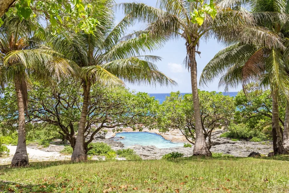 %EC%82%AC%EC%9D%B4%ED%8C%90_Rota_1.jpg?type=w1200