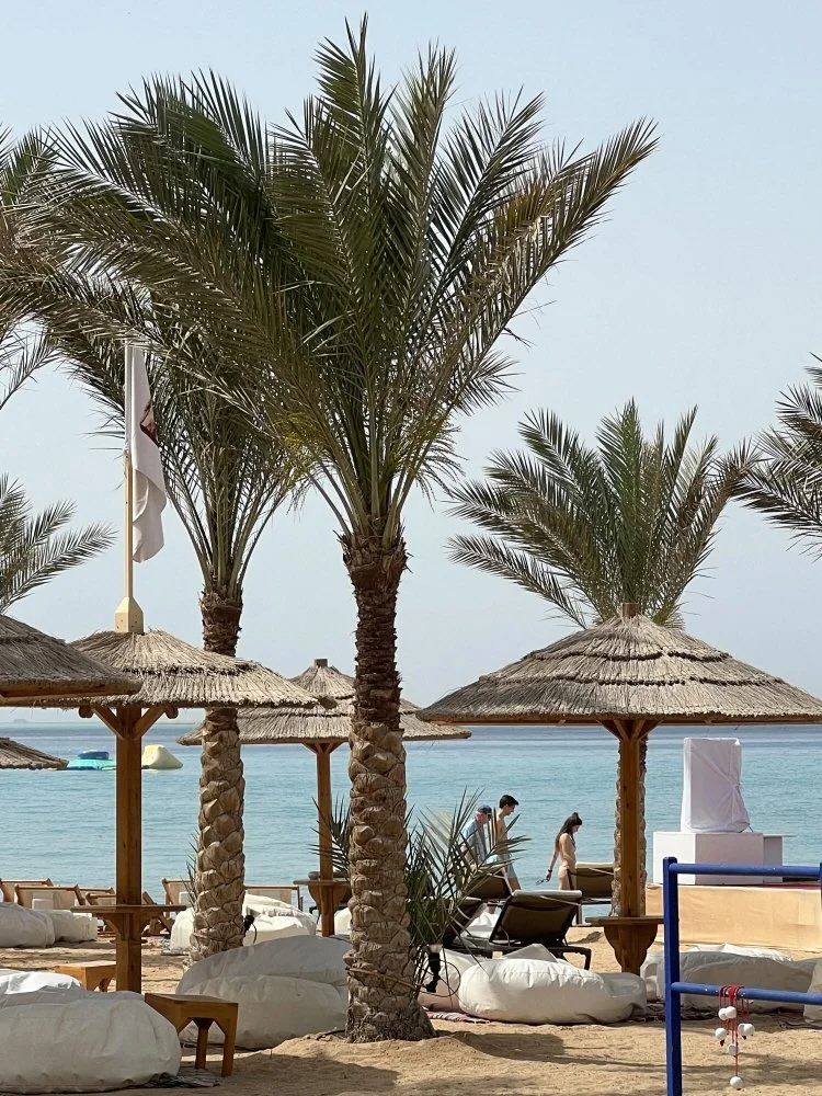 %ED%9A%8C%EC%A0%84%EC%9D%B4%EC%A7%91%ED%8A%B8_%ED%9B%84%EB%A3%A8%EA%B0%80%EB%8B%A43.JPG?type=w1200