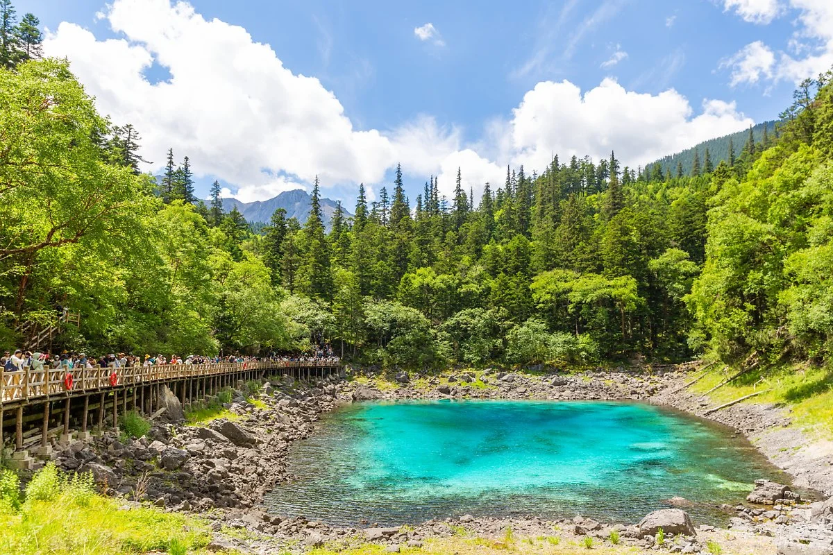 %EA%B5%AC%EC%B1%84%EA%B5%AC_%EC%98%A4%EC%B1%84%EC%A7%80.jpg?type=w1200