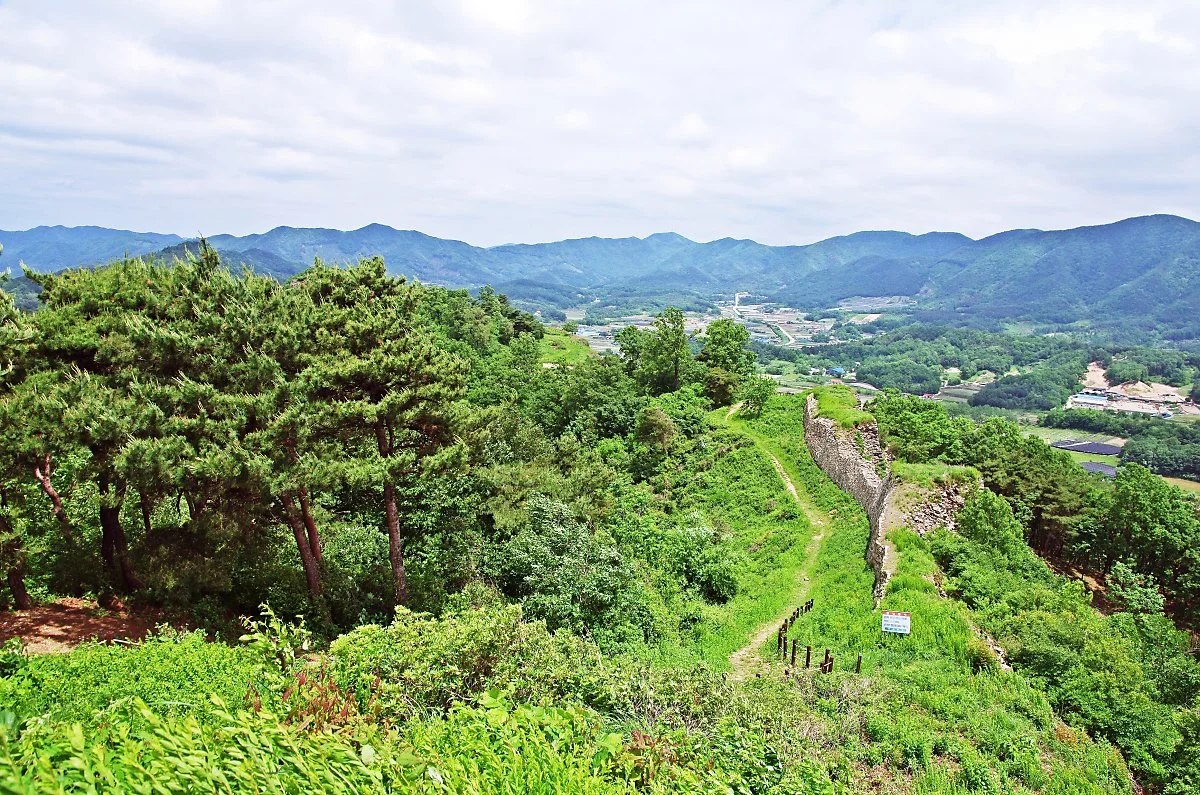 %EB%82%A8%EB%8F%99%EC%B9%98%EC%84%B1%EC%97%90%EC%84%9C_%EB%B3%B8_%ED%92%8D%EA%B2%BD.JPG?type=w1200