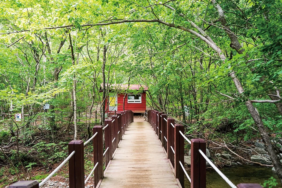 %EC%B2%AB%EB%B2%88%EC%A7%B8_%EB%8B%A4%EB%A6%AC_%281%29.JPG?type=w1200