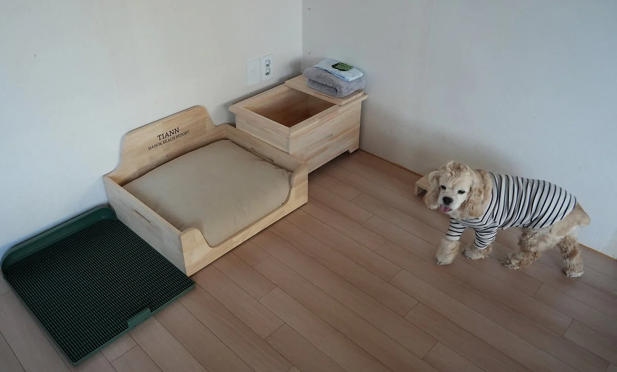 _%EB%B0%98%EB%A0%A4%EB%8F%99%EB%AC%BC_%EC%96%B4%EB%A9%94%EB%8B%88%ED%8B%B0.jpg?type=w1200