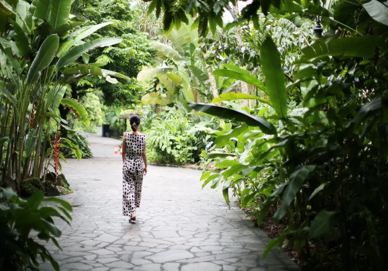 _%EC%96%B8%EC%A0%9C%EB%82%98_%EC%8B%B1%EA%B7%B8%EB%9F%AC%EC%9A%B4_%EB%B3%B4%ED%83%80%EB%8B%89_%EA%B0%80%EB%93%A0.jpg?type=w1200