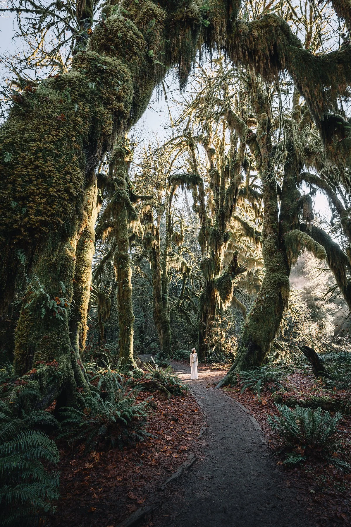 DSC02390-2.jpg?type=w1200