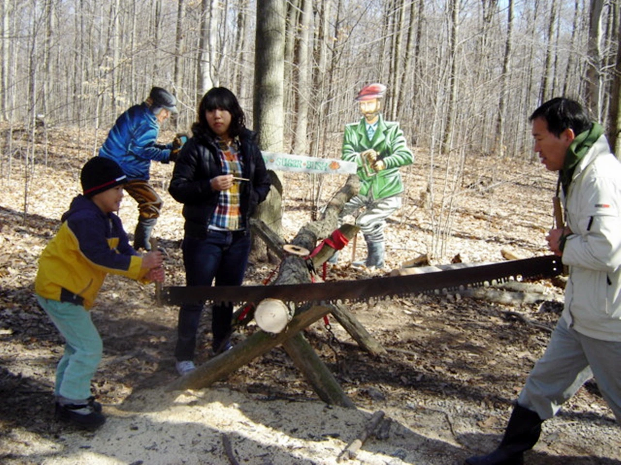 3-St.Catherine-Saw a log.JPG