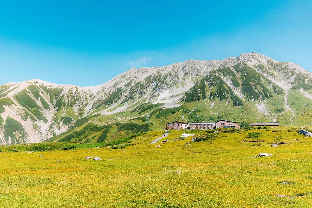 %EC%95%8C%ED%8E%9C%EB%A3%A8%ED%8A%B8-21.jpg?type=w1200