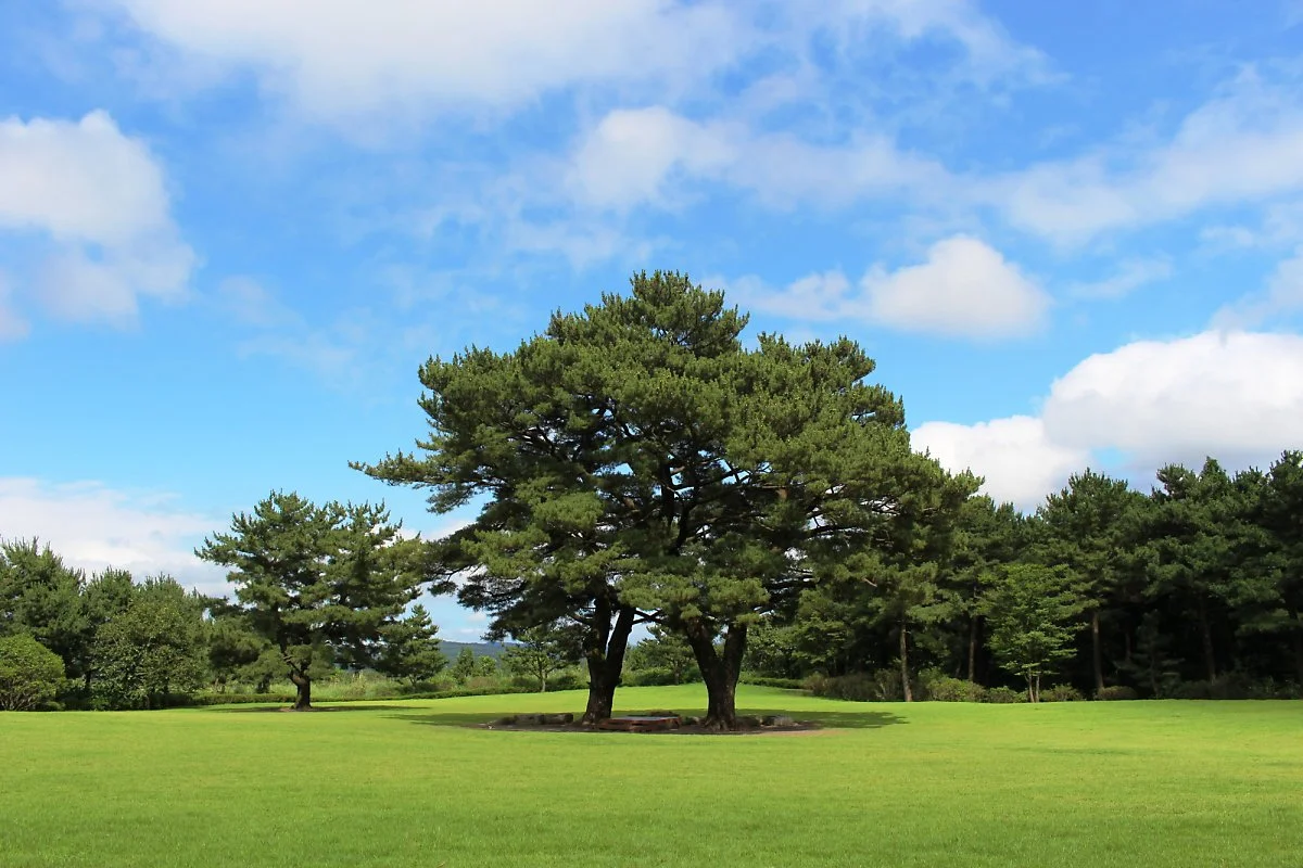 %EC%83%81%ED%9A%A8%EC%9B%90_%283%29.jpg?type=w1200