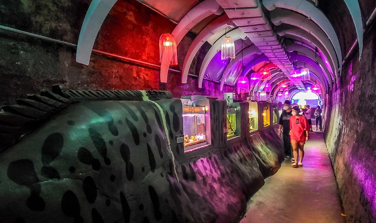 %ED%8A%B8%EC%9C%88%ED%84%B0%EB%84%90_%EC%88%98%EC%A1%B1%EA%B4%80.jpg?type=w1200