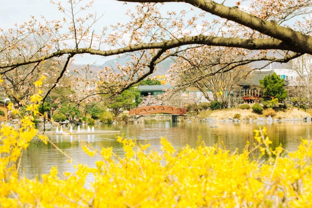 %EA%B9%80%EC%B2%9C_%EA%BD%83%EC%9D%84_%EC%B0%BE%EC%95%84%EC%84%9C__%2829_-_35%29.JPG?type=w1200