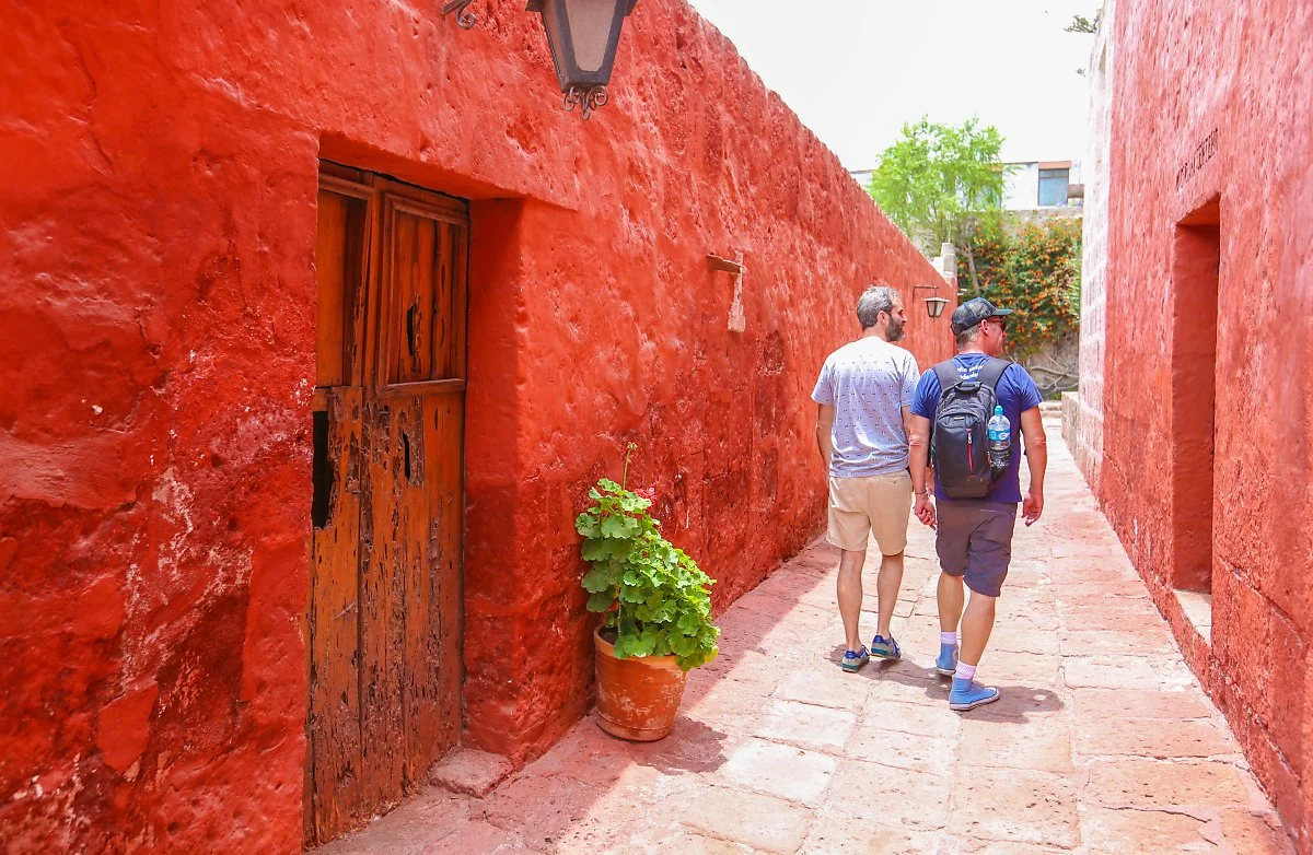 %EC%84%B1%EC%B9%B4%ED%83%88%EB%A6%AC%EB%82%98_%EC%88%98%EB%8F%84%EC%9B%90_%282%29.jpg?type=w1200