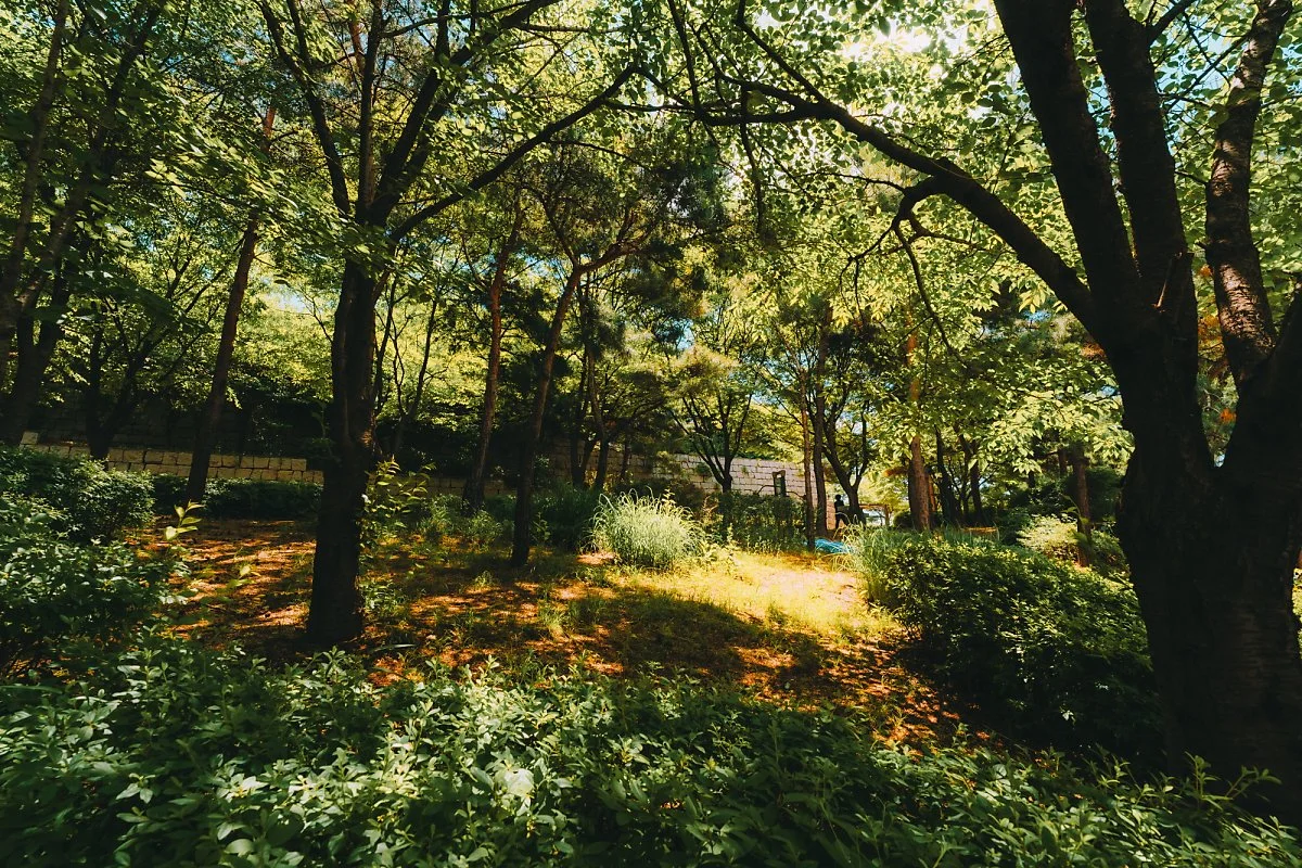 %ED%81%AC%EA%B8%B0%EB%B3%80%ED%99%98DSC02174.jpg?type=w1200