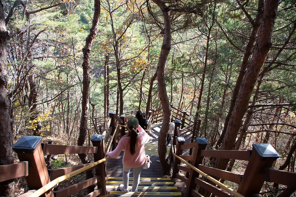 %EB%B0%94%EB%8B%A4%EB%B6%80%EC%B1%84%EA%B8%B8_%EC%A0%95%EB%8F%99%EC%A7%84_%EC%AA%BD_%EC%86%8C%EB%82%98%EB%AC%B4%EC%88%B2_%281%29.jpg?type=w1200