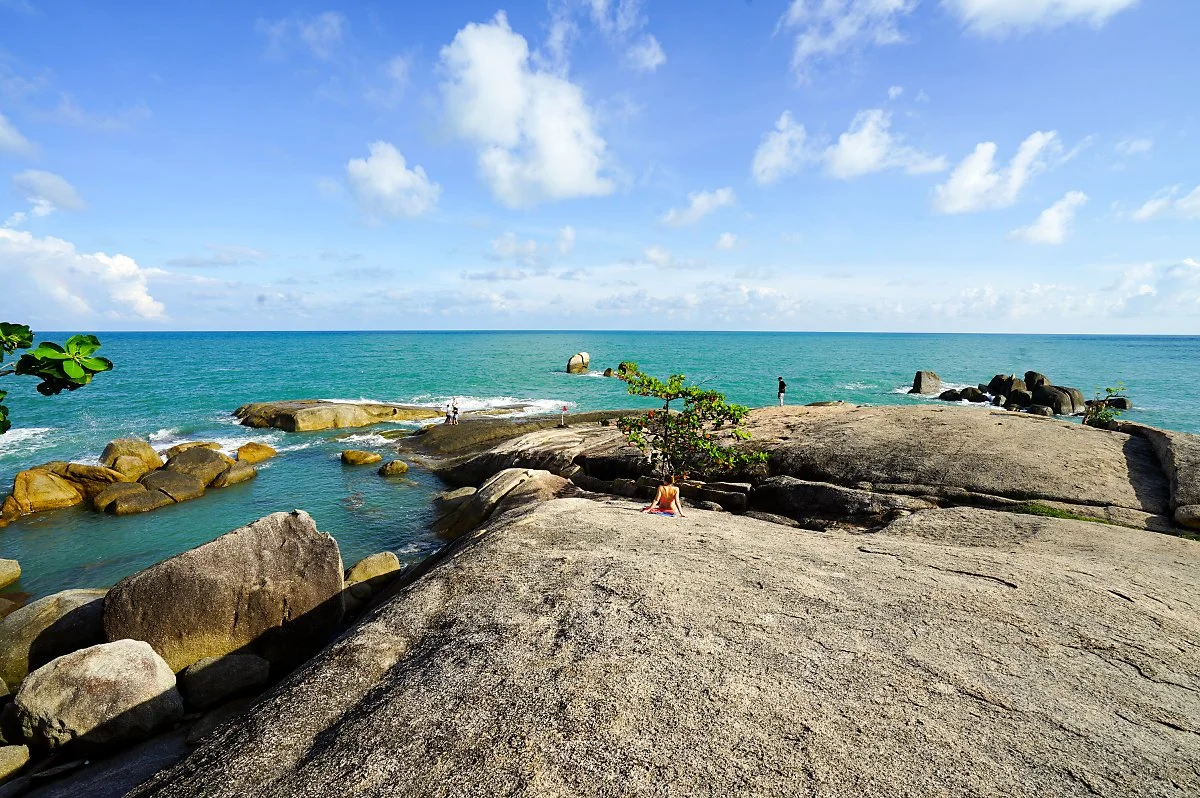 4._%EC%BD%94%EC%82%AC%EB%AC%B4%EC%9D%B4_%ED%95%A0%EC%95%84%EB%B2%84%EC%A7%80_%ED%95%A0%EB%A8%B8%EB%8B%88_%EB%B0%94%EC%9C%84_%E2%93%92travie.JPG?type=w1200