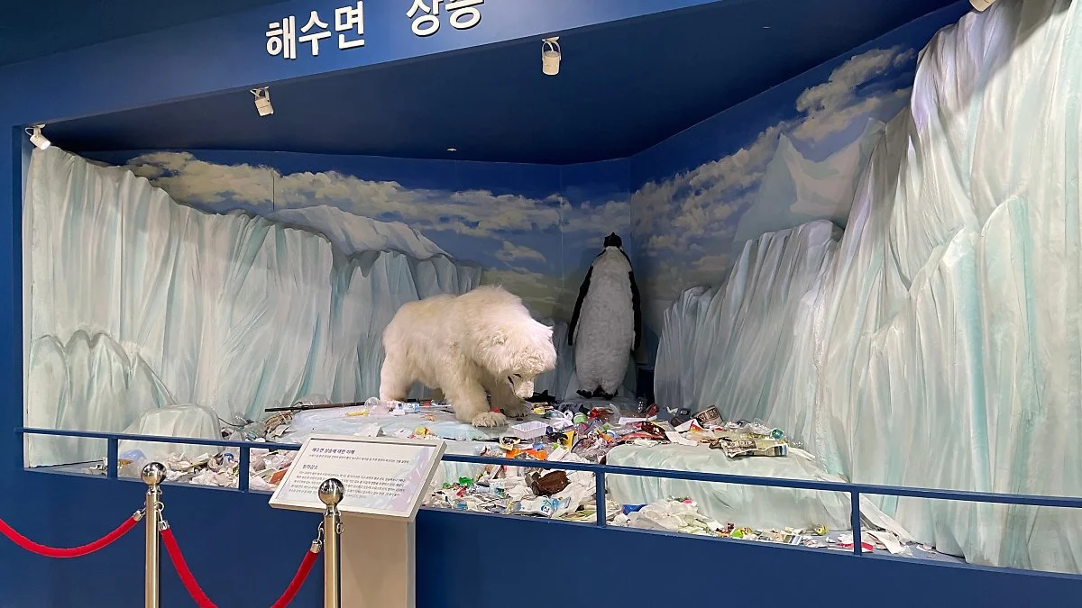 %ED%99%94%EC%A7%84%ED%8F%AC_%EC%83%9D%ED%83%9C%EC%B2%B4%ED%97%98%EA%B4%80_%EC%A0%95%EC%9D%80%EC%A3%BC_%281%29.jpg?type=w1200