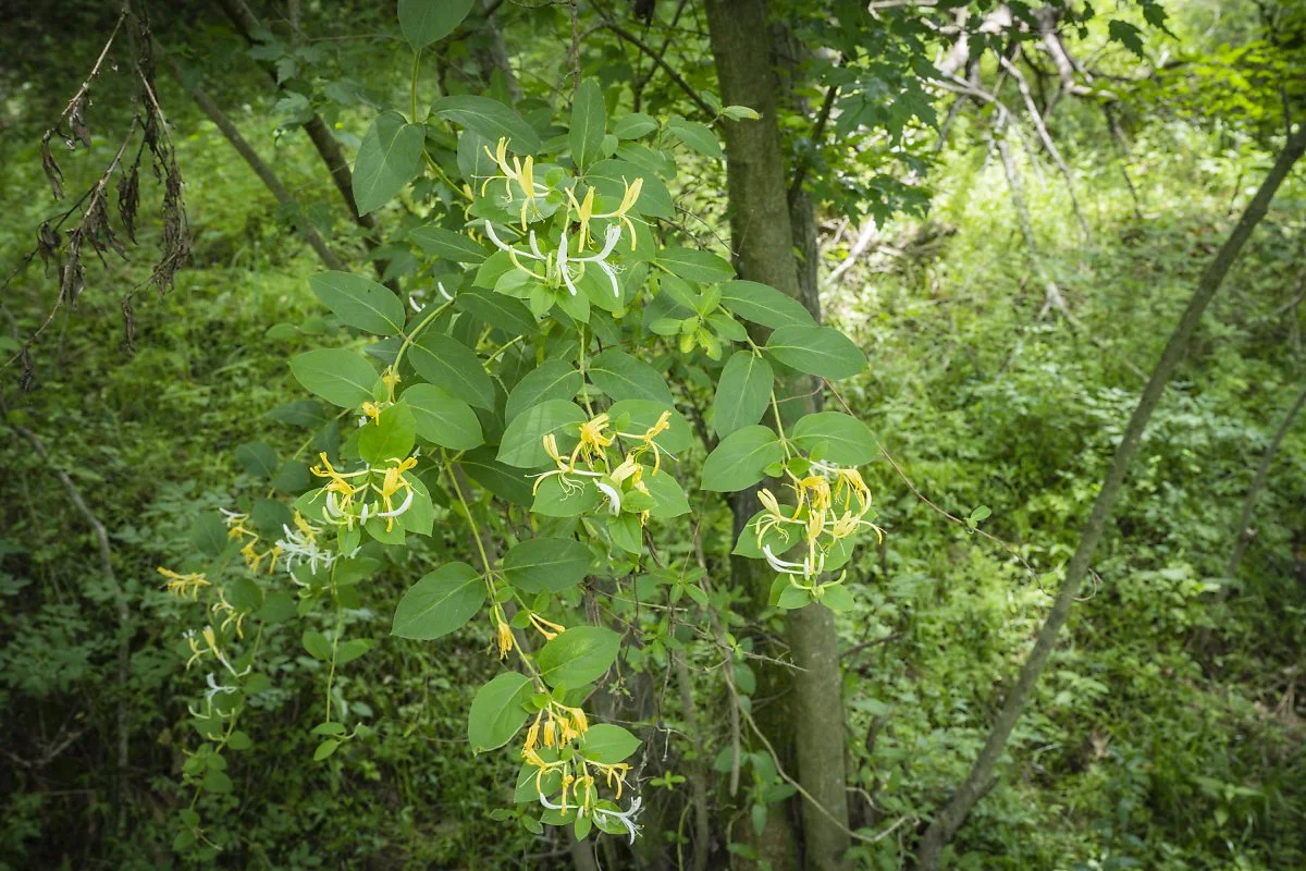 %EC%9A%B4%EA%B3%A1%EB%9E%8C%EC%82%AC%EB%A5%B4%EC%8A%B5%EC%A7%80_%2814%29.jpg?type=w1200