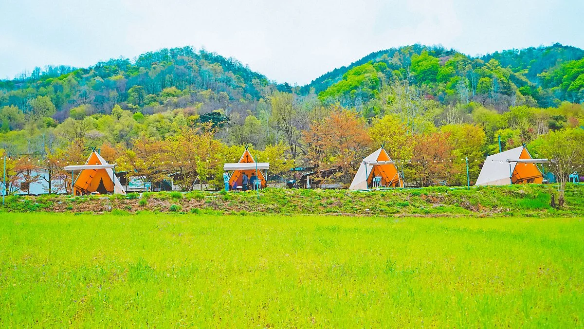 1._%ED%8C%9C_0311_%EC%84%B1%EC%A3%BC%ED%95%98%EB%8A%98%EB%AA%A9%EC%9E%A5.jpg?type=w1200