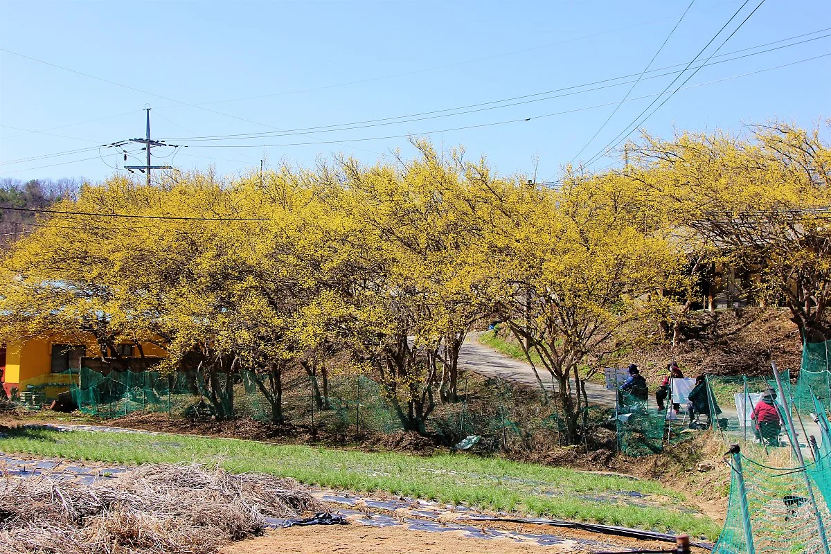 02%EC%96%91%ED%8F%89%EC%82%B0%EC%88%98%EC%9C%A0%EB%A7%88%EC%9D%84_%283%29.JPG?type=w1200