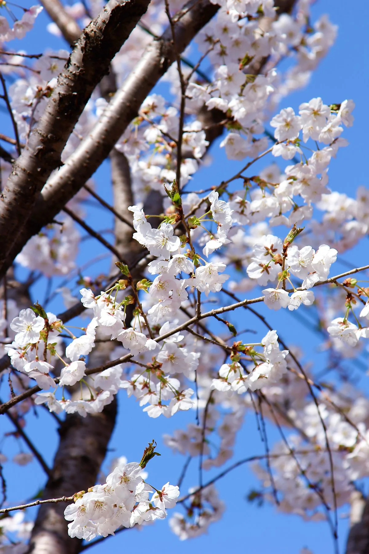 02%EB%8F%84%EB%8B%B9%EC%82%B0_%282%29.JPG?type=w1200