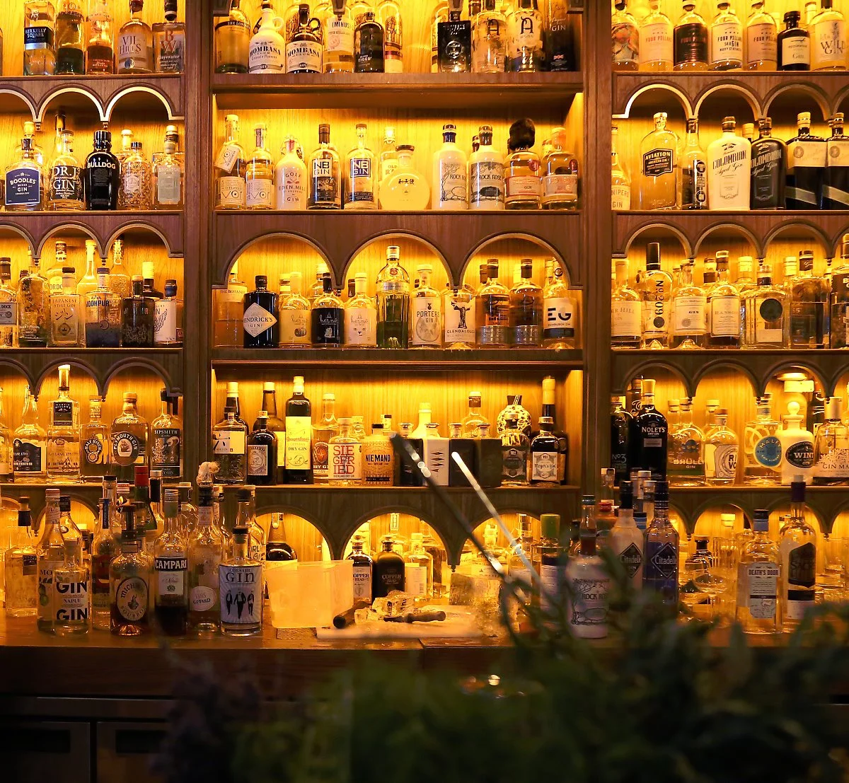 Dr._Fern%27s_Gin_Parlour_%283%29_copy.jpg?type=w1200