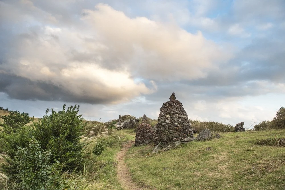 %ED%81%AC%EA%B8%B0%EB%B3%80%ED%99%98%EB%94%B0%EB%9D%BC%EB%B9%84%EC%98%A4%EB%A6%84_%289%29.jpg?type=w1200